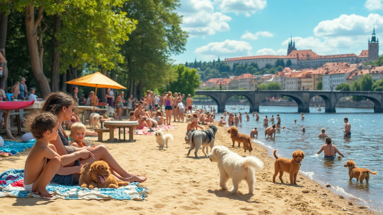 Koupaliště vhodná pro psy